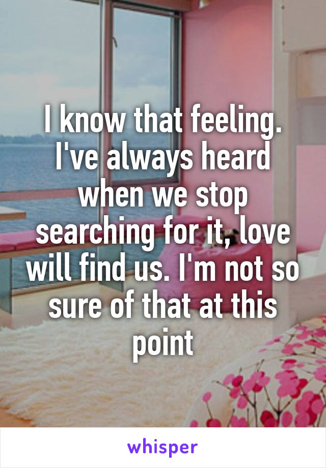 I know that feeling. I've always heard when we stop searching for it, love will find us. I'm not so sure of that at this point