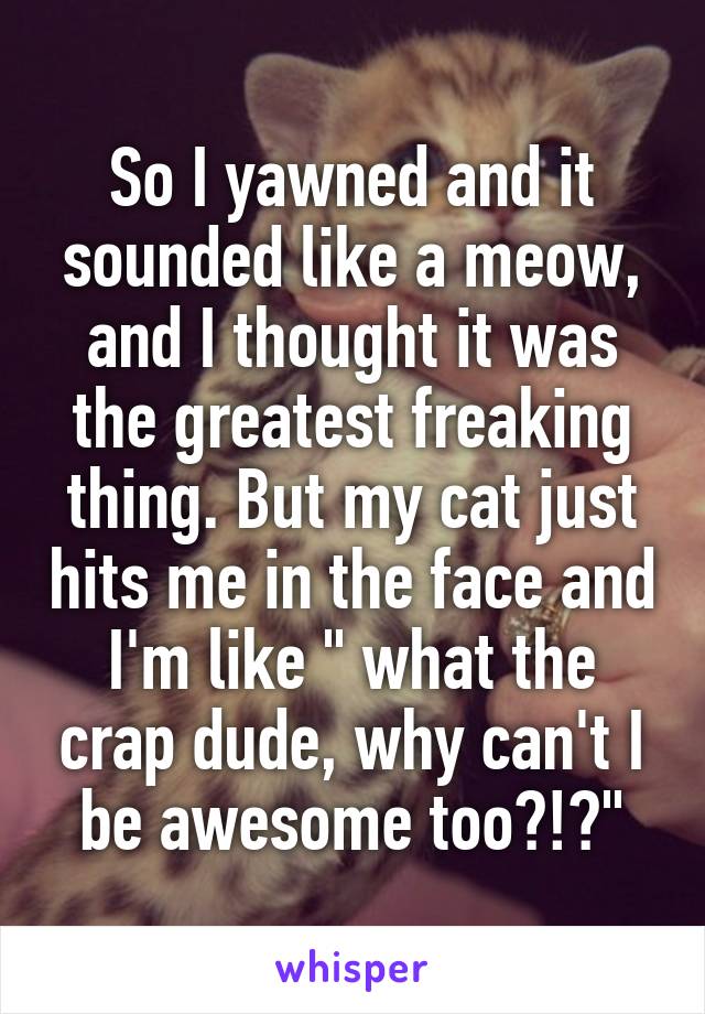 So I yawned and it sounded like a meow, and I thought it was the greatest freaking thing. But my cat just hits me in the face and I'm like " what the crap dude, why can't I be awesome too?!?"