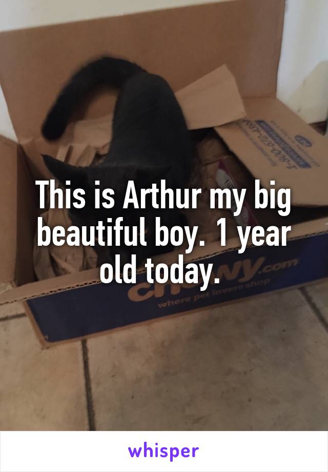 This is Arthur my big beautiful boy. 1 year old today. 