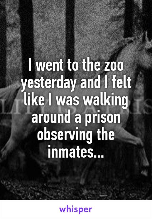 I went to the zoo yesterday and I felt like I was walking around a prison observing the inmates...