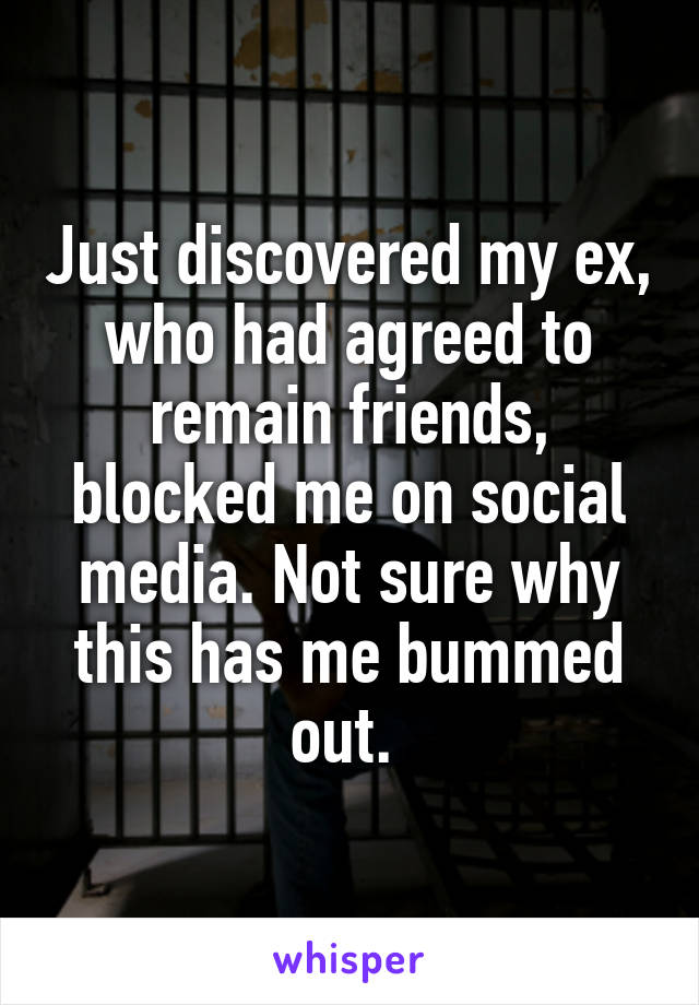 Just discovered my ex, who had agreed to remain friends, blocked me on social media. Not sure why this has me bummed out. 