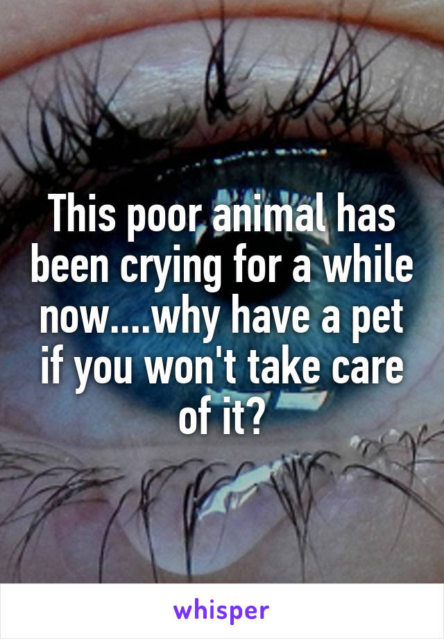 This poor animal has been crying for a while now....why have a pet if you won't take care of it?