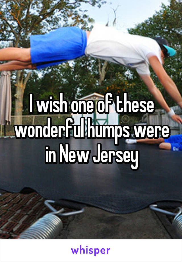 I wish one of these wonderful humps were in New Jersey