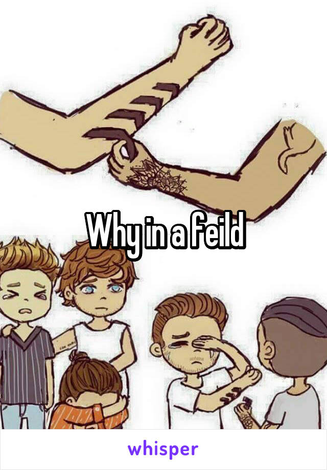 Why in a feild