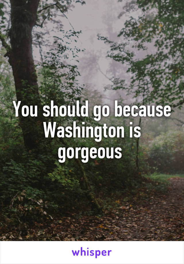You should go because Washington is gorgeous 