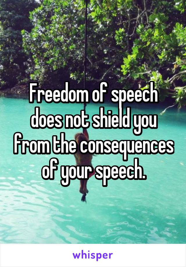 Freedom of speech does not shield you from the consequences of your speech.
