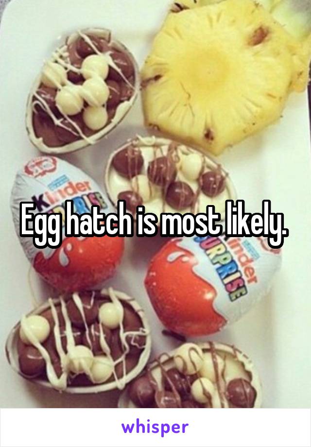 Egg hatch is most likely. 