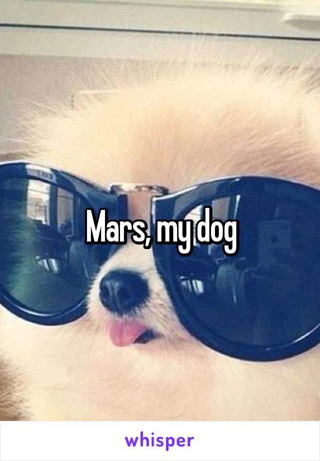 Mars, my dog