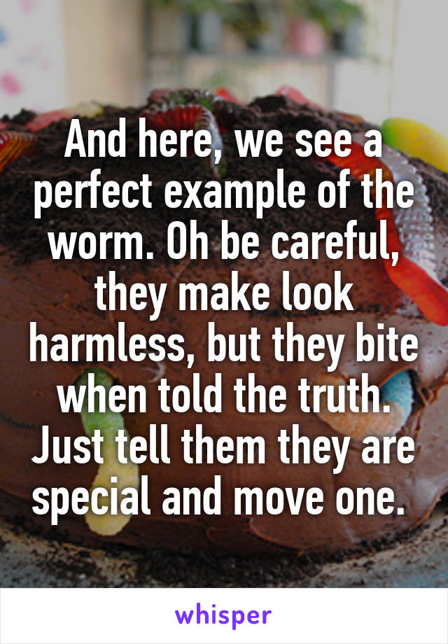 And here, we see a perfect example of the worm. Oh be careful, they make look harmless, but they bite when told the truth. Just tell them they are special and move one. 
