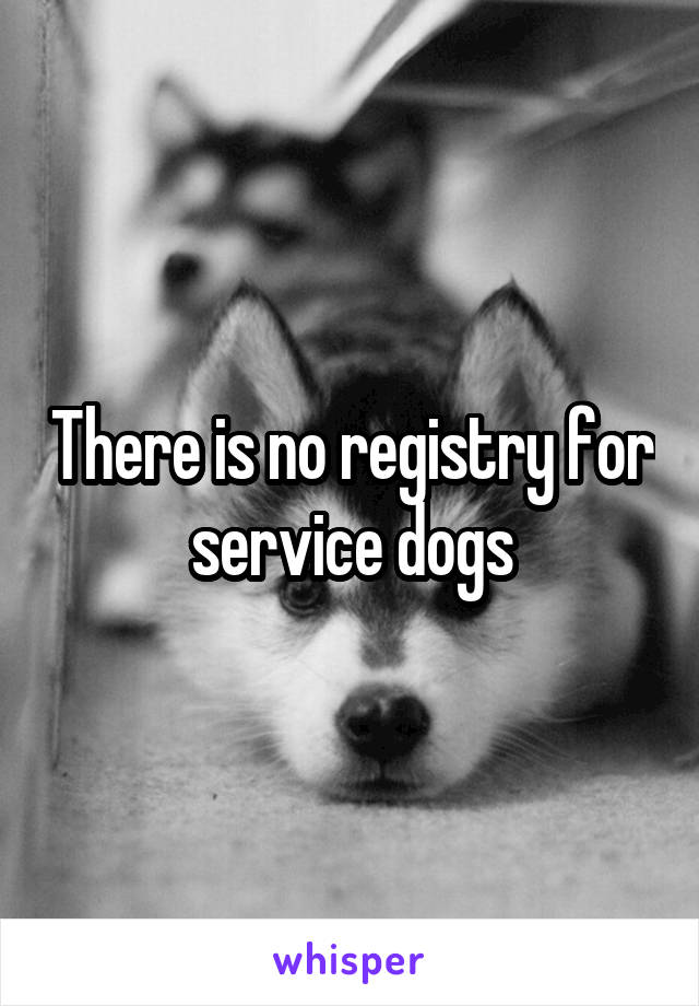 There is no registry for service dogs