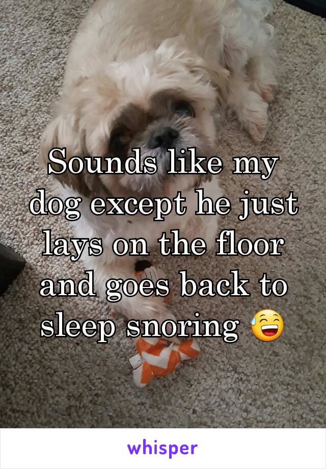 Sounds like my dog except he just lays on the floor and goes back to sleep snoring 😅