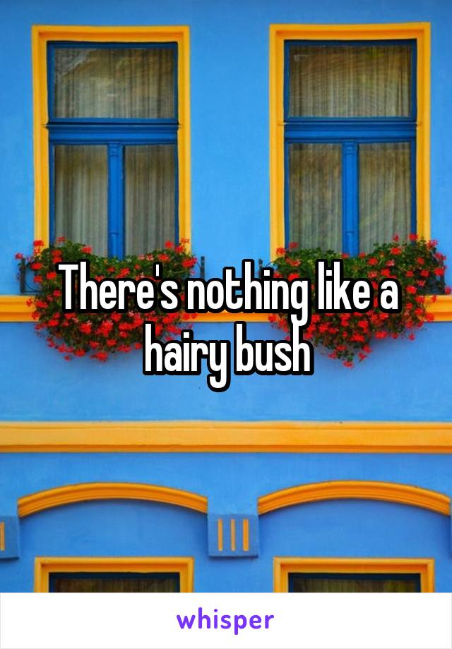 There's nothing like a hairy bush