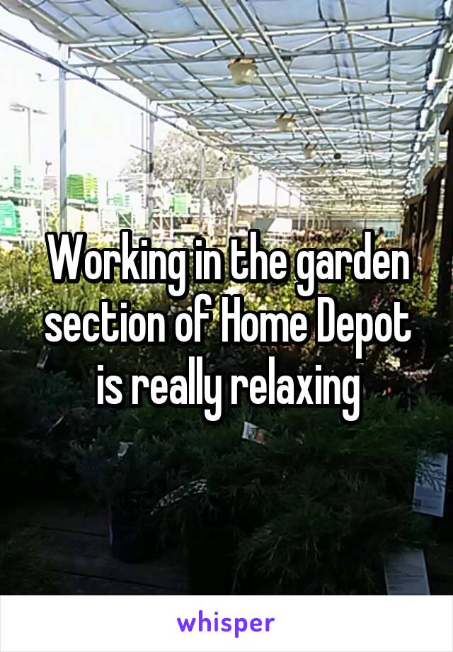 Working in the garden section of Home Depot is really relaxing