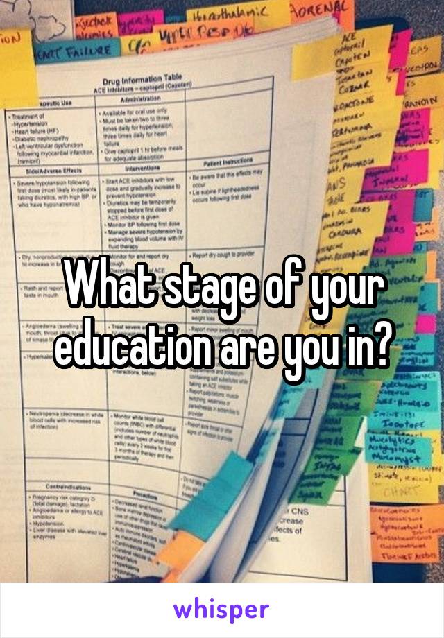 What stage of your education are you in?