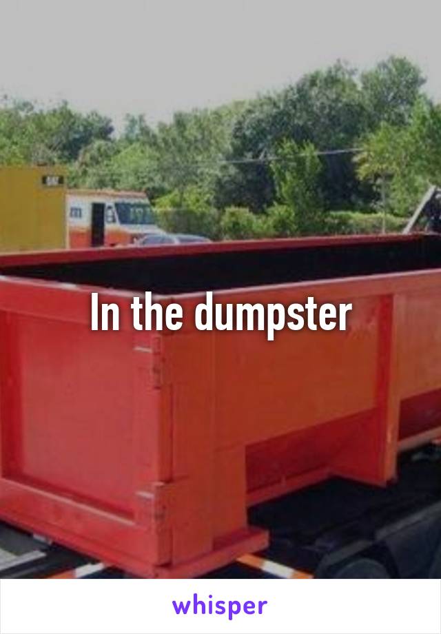 In the dumpster