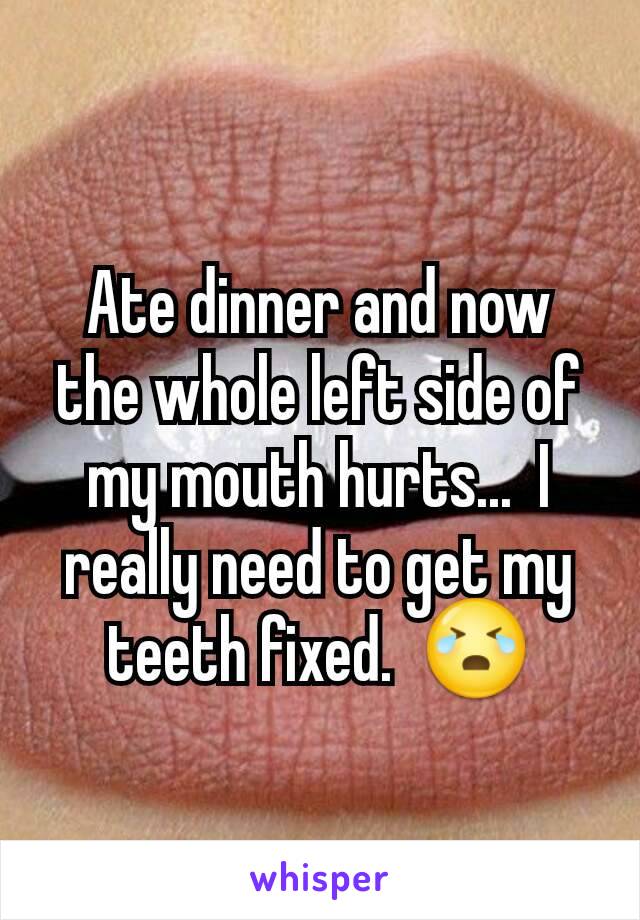 Ate dinner and now the whole left side of my mouth hurts...  I really need to get my teeth fixed.  😭