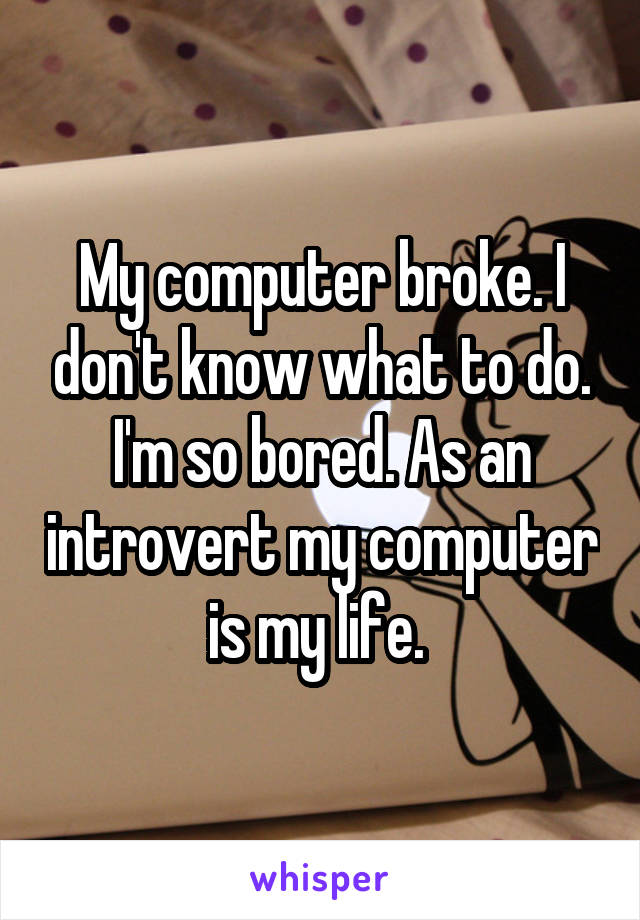 My computer broke. I don't know what to do. I'm so bored. As an introvert my computer is my life. 