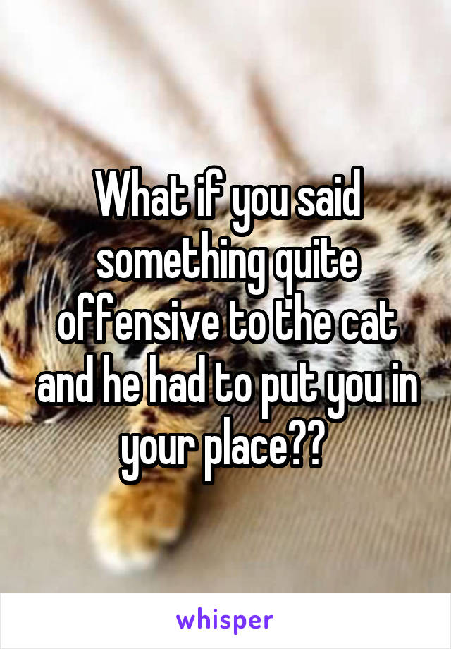 What if you said something quite offensive to the cat and he had to put you in your place?? 
