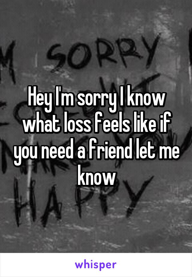 Hey I'm sorry I know what loss feels like if you need a friend let me know