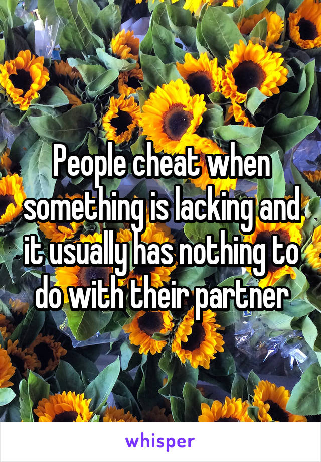 People cheat when something is lacking and it usually has nothing to do with their partner