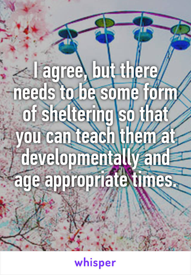 I agree, but there needs to be some form of sheltering so that you can teach them at developmentally and age appropriate times. 