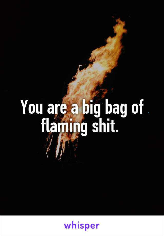 You are a big bag of flaming shit. 