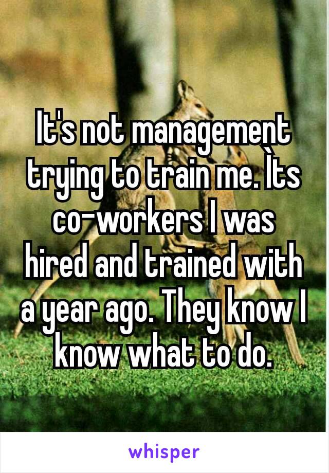 It's not management trying to train me. Ìts co-workers I was hired and trained with a year ago. They know I know what to do.