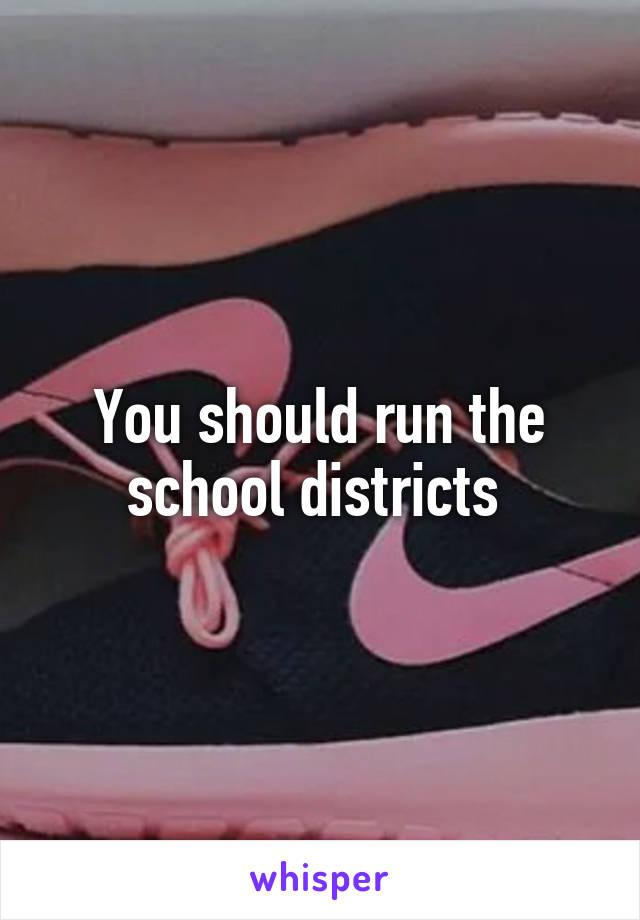 You should run the school districts 