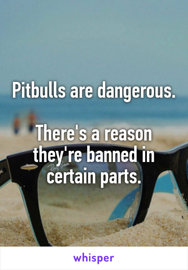 Pitbulls are dangerous.

There's a reason they're banned in certain parts.