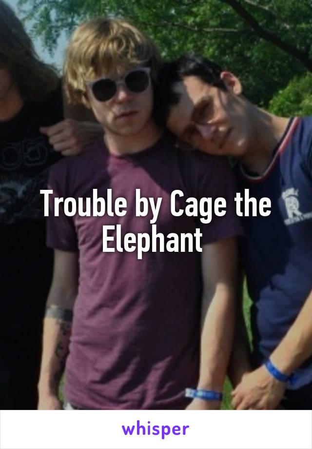 Trouble by Cage the Elephant 