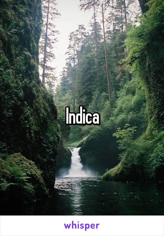 Indica