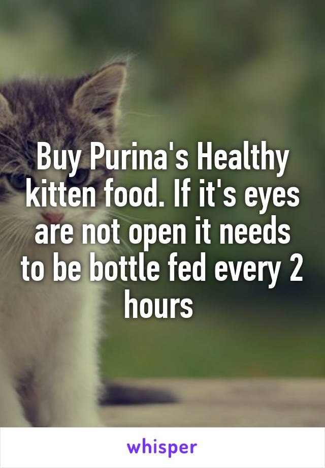 Buy Purina's Healthy kitten food. If it's eyes are not open it needs to be bottle fed every 2 hours 