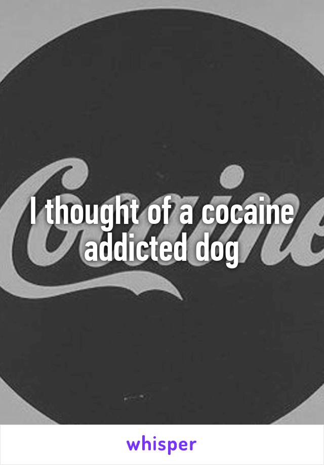 I thought of a cocaine addicted dog