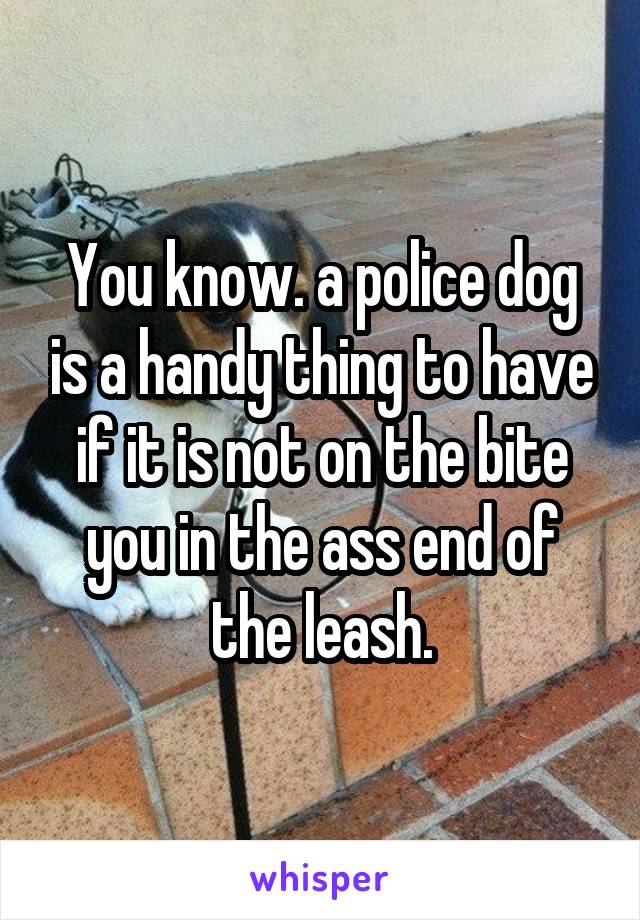 You know. a police dog is a handy thing to have if it is not on the bite you in the ass end of the leash.