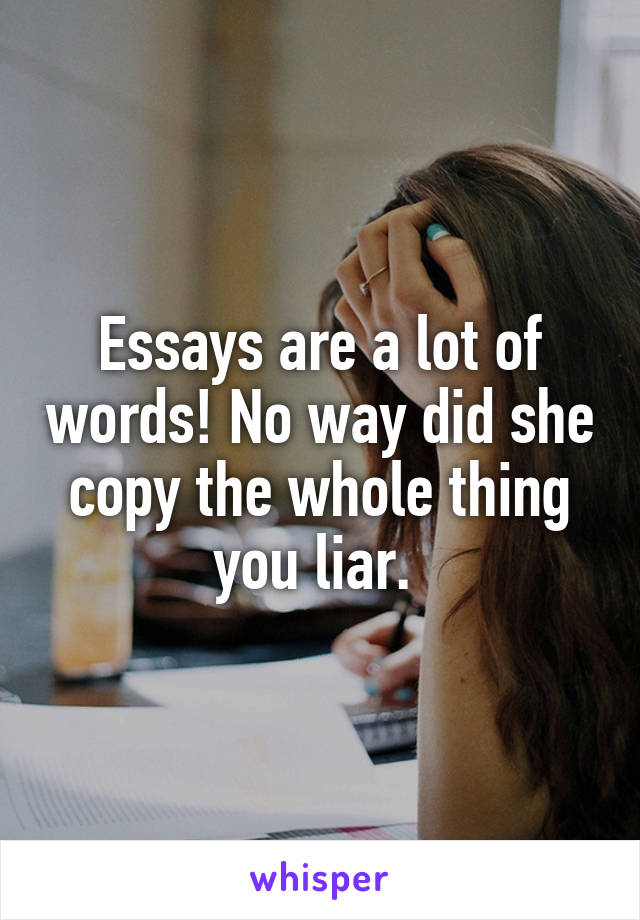 Essays are a lot of words! No way did she copy the whole thing you liar. 