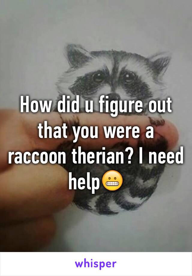 How did u figure out that you were a raccoon therian? I need help😬