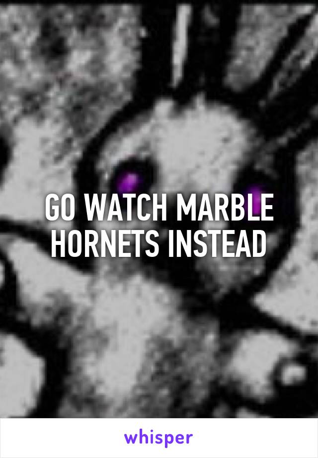 GO WATCH MARBLE HORNETS INSTEAD