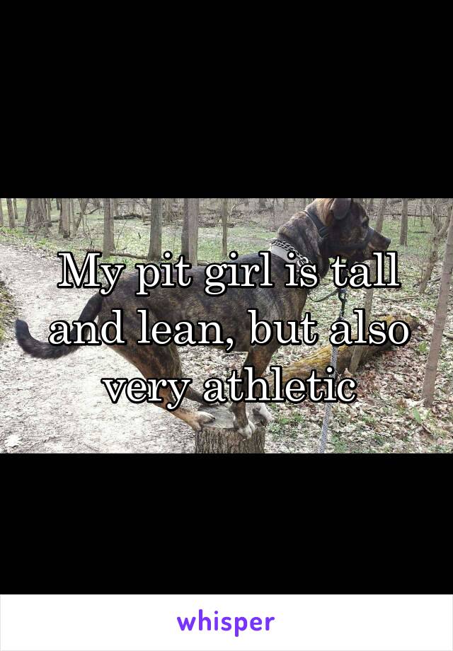 My pit girl is tall and lean, but also very athletic