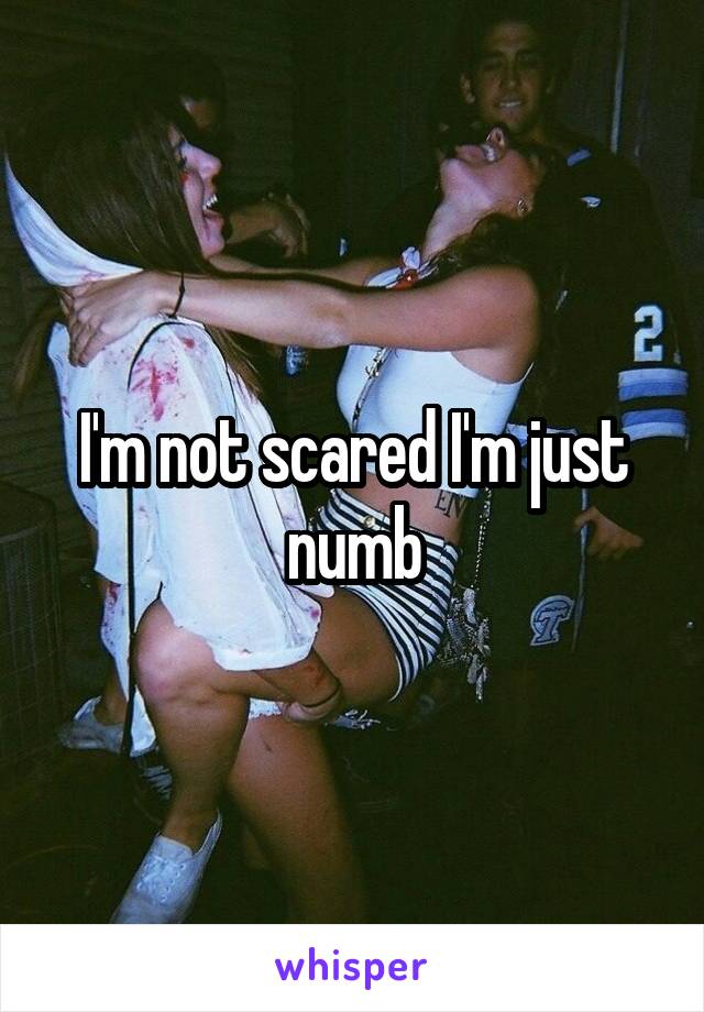 I'm not scared I'm just numb