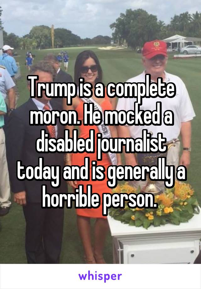 Trump is a complete moron. He mocked a disabled journalist today and is generally a horrible person. 