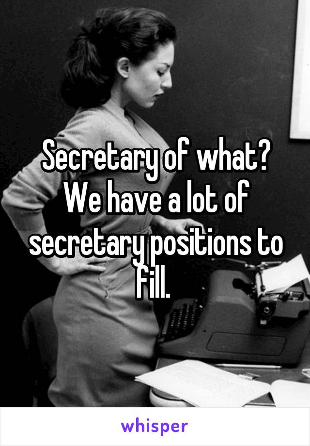 Secretary of what? We have a lot of secretary positions to fill. 