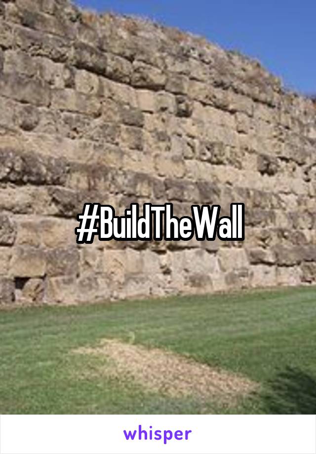 #BuildTheWall