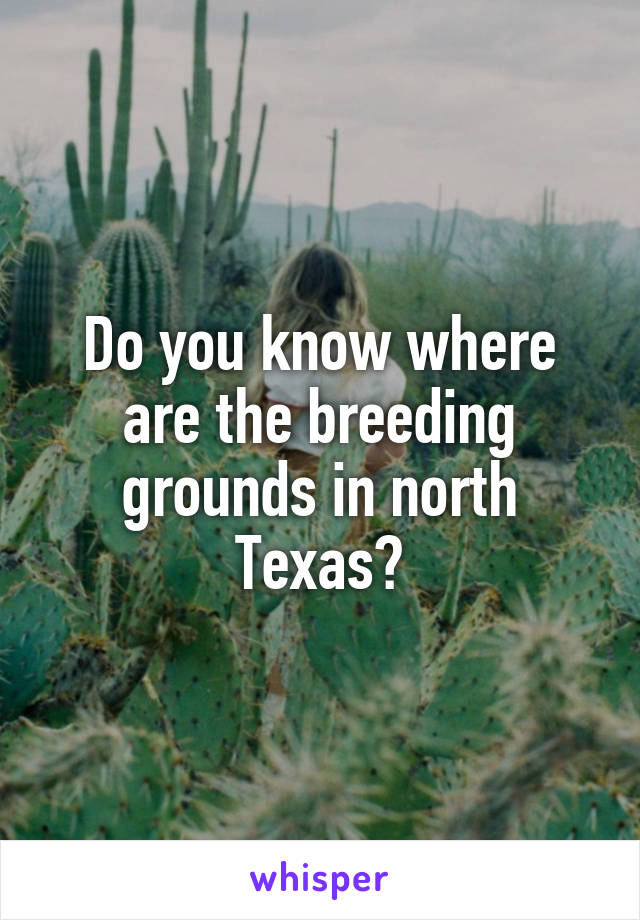 Do you know where are the breeding grounds in north Texas?