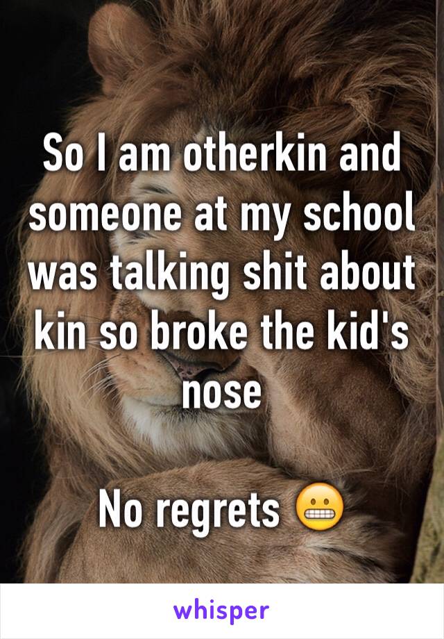 So I am otherkin and someone at my school was talking shit about kin so broke the kid's nose

No regrets 😬