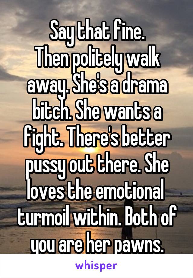 Say that fine.
Then politely walk away. She's a drama bitch. She wants a fight. There's better pussy out there. She loves the emotional  turmoil within. Both of you are her pawns.