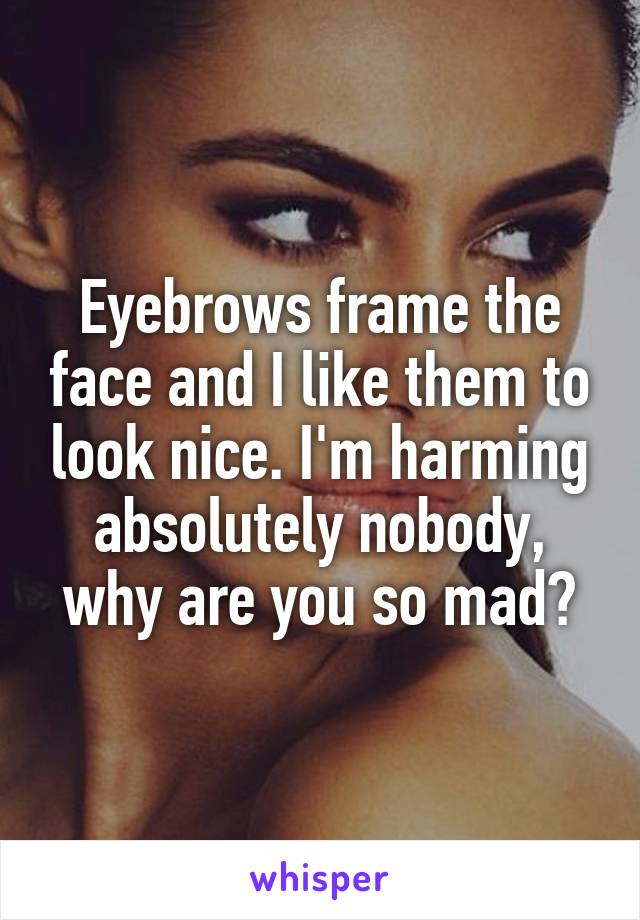 Eyebrows frame the face and I like them to look nice. I'm harming absolutely nobody, why are you so mad?