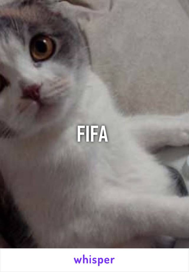 FIFA 