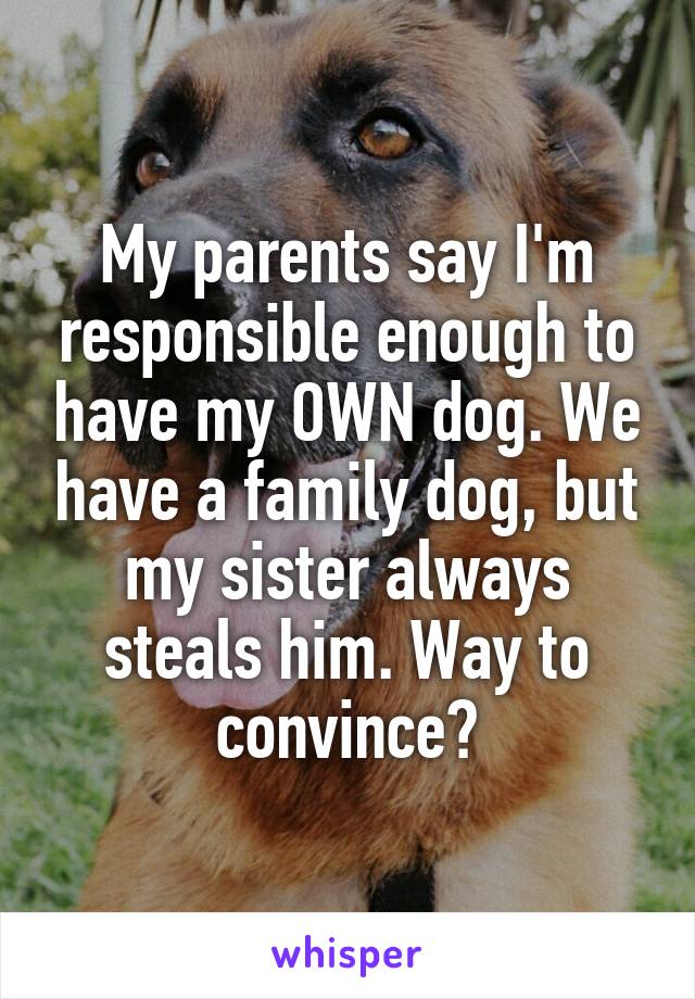 My parents say I'm responsible enough to have my OWN dog. We have a family dog, but my sister always steals him. Way to convince?