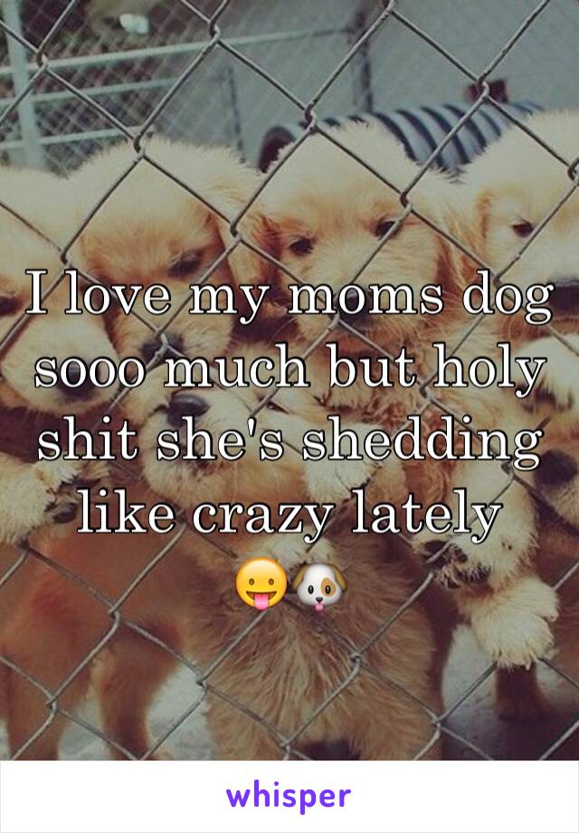 I love my moms dog sooo much but holy shit she's shedding like crazy lately 
😛🐶