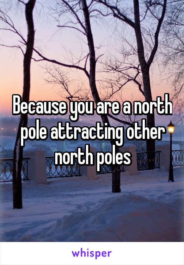 Because you are a north pole attracting other north poles